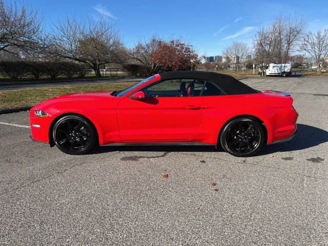 Certified 2019 Ford Mustang Premium w/ Equipment Group 201A image 5