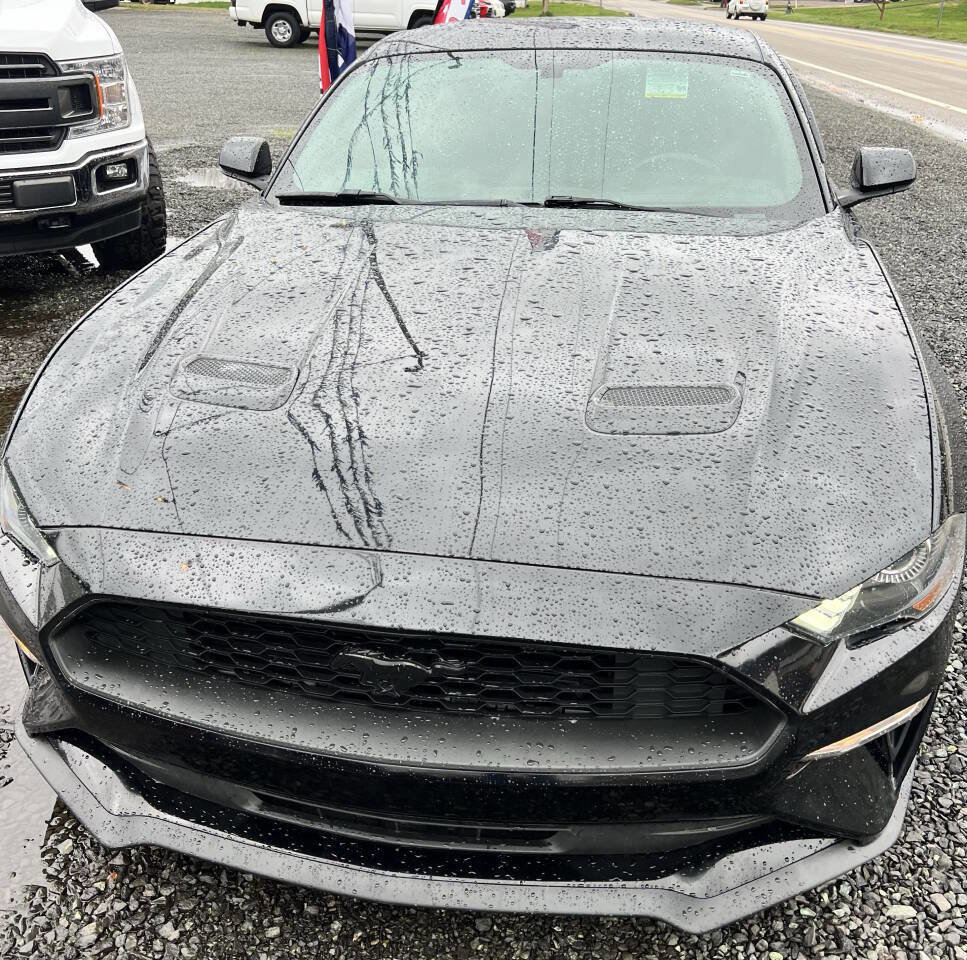 Used 2019 Ford Mustang Coupe image 3