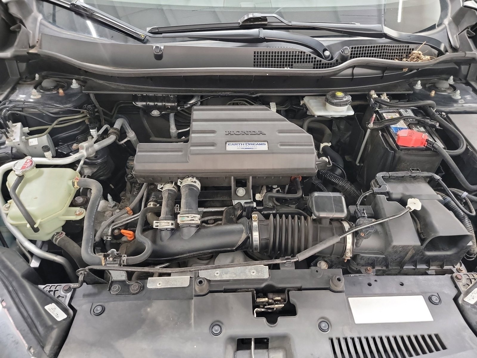 Used 2019 Honda CR-V EX image 25