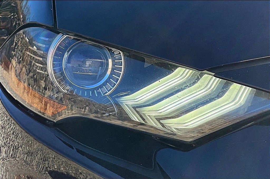 Used 2019 Ford Mustang GT w/ Equipment Group 301A image 24