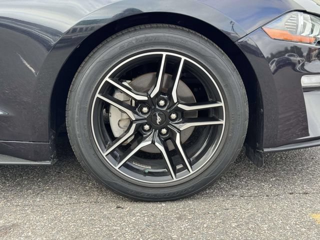 Used 2023 Ford Mustang Coupe w/ Equipment Group 101A RWD image 12