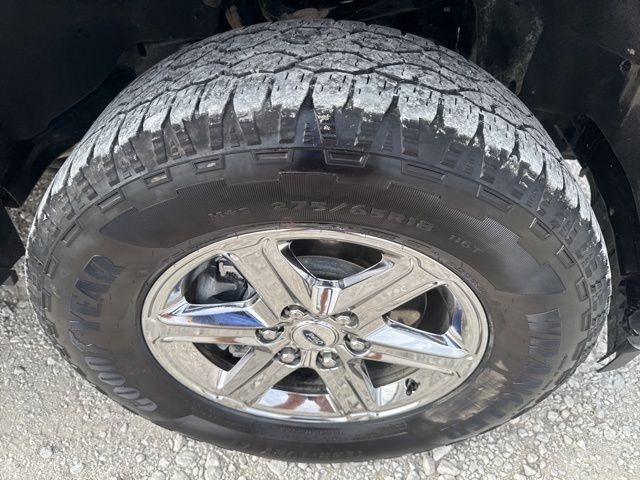 Used 2024 Ford F150 XLT w/ Mobile Office Package AWD/4WD image 28