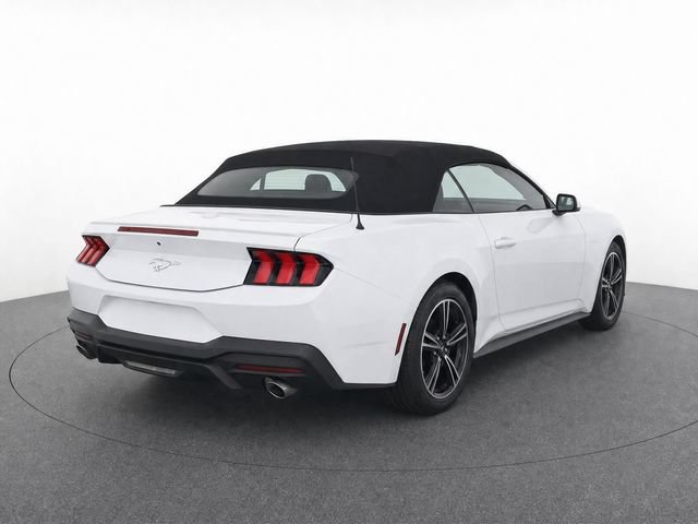 Used 2024 Ford Mustang Premium RWD image 3