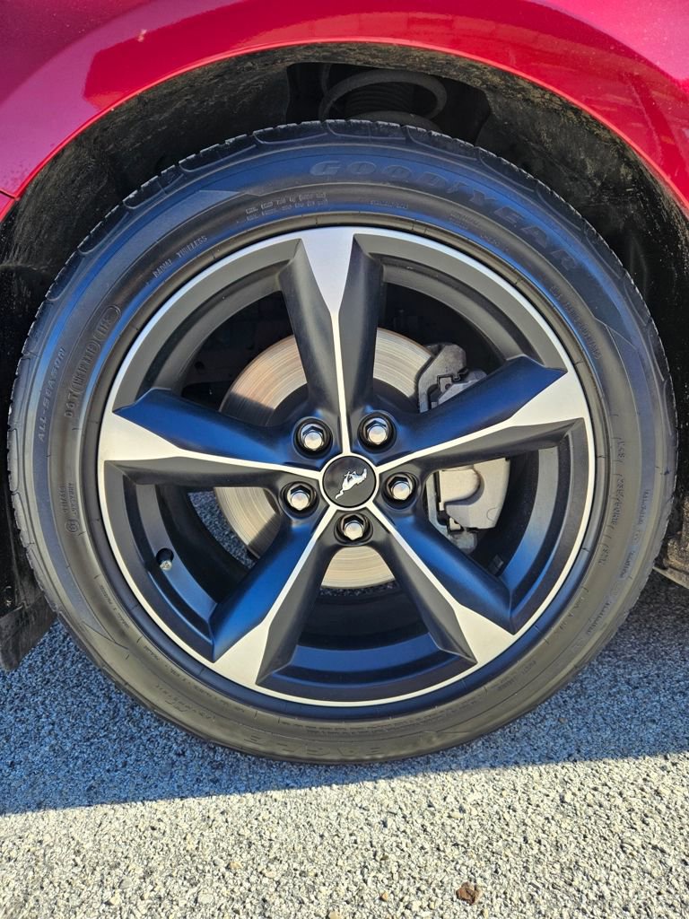 Used 2023 Ford Mustang Coupe w/ Equipment Group 101A RWD image 9