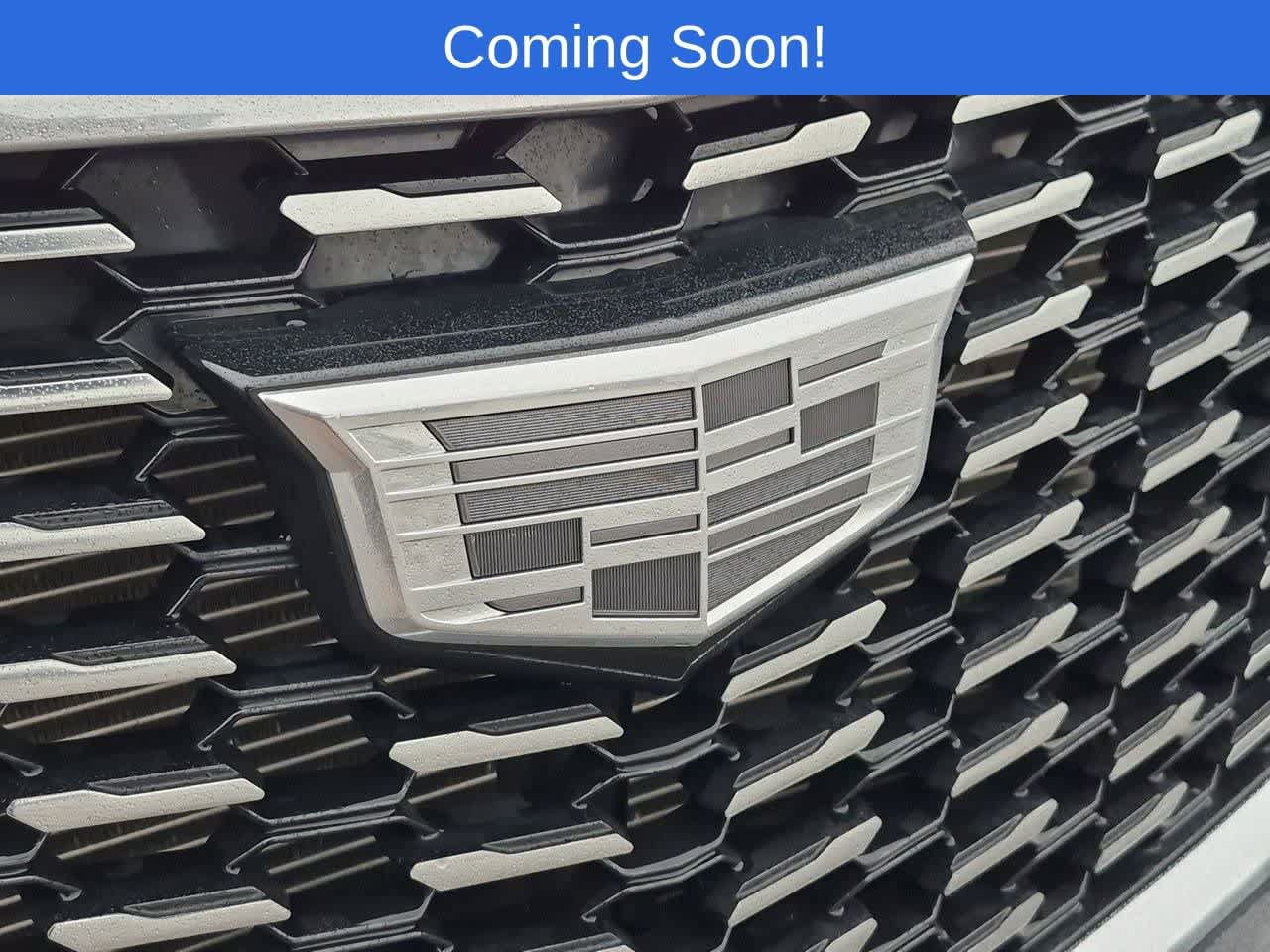 Used 2024 Cadillac XT5 Premium Luxury AWD/4WD image 11