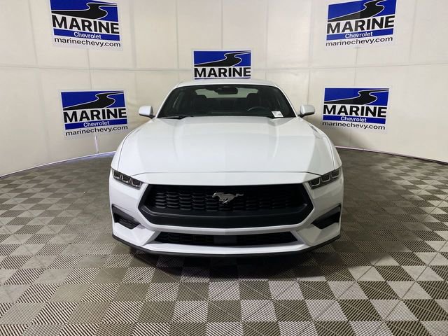 Used 2024 Ford Mustang Premium image 12
