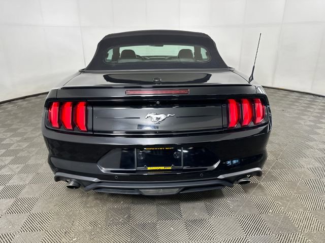 Used 2023 Ford Mustang Premium image 4