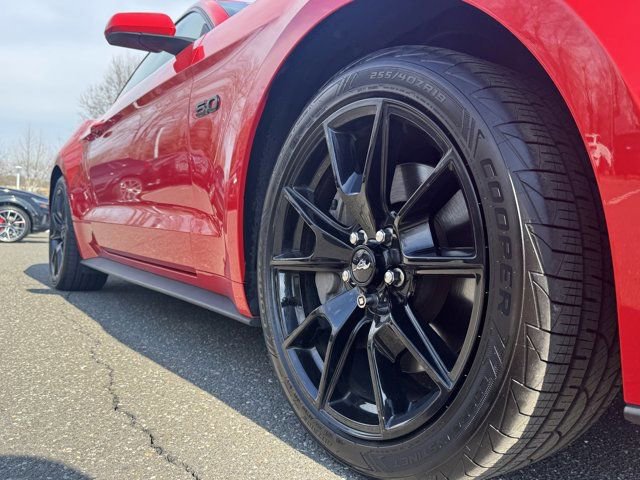 Used 2017 Ford Mustang GT w/ Black Accent Package image 11