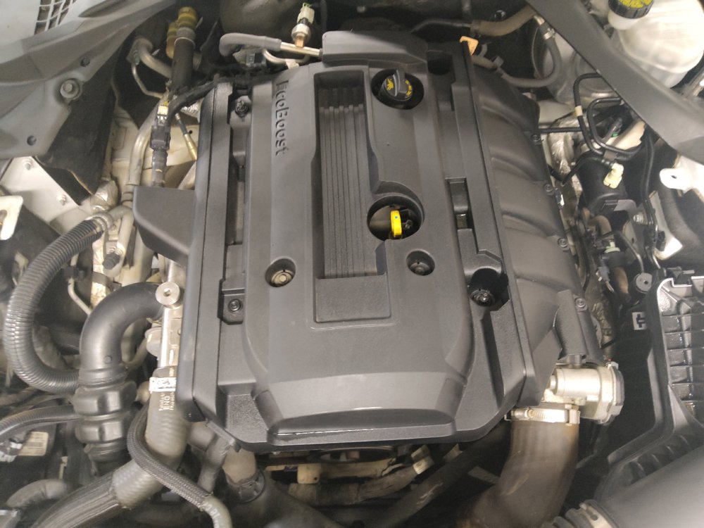 Used 2019 Ford Mustang Premium RWD image 30