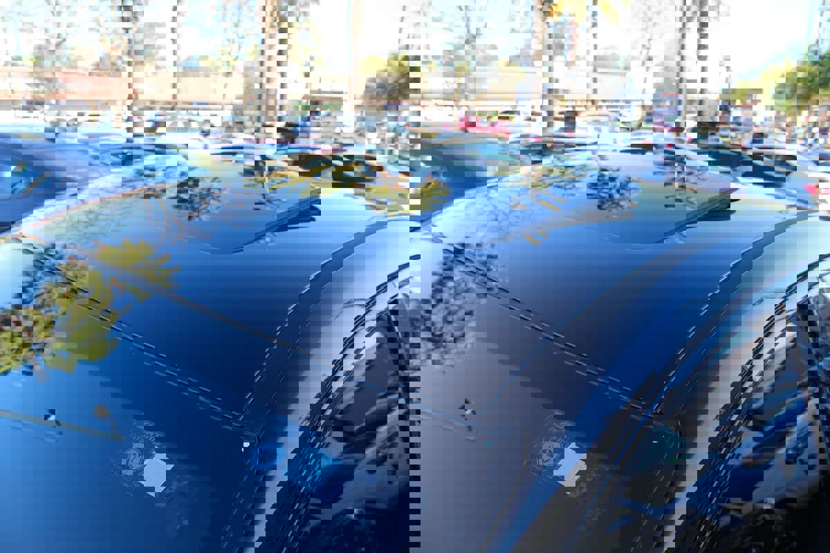 Used 2022 Hyundai Elantra N Line w/ Cargo Package image 13