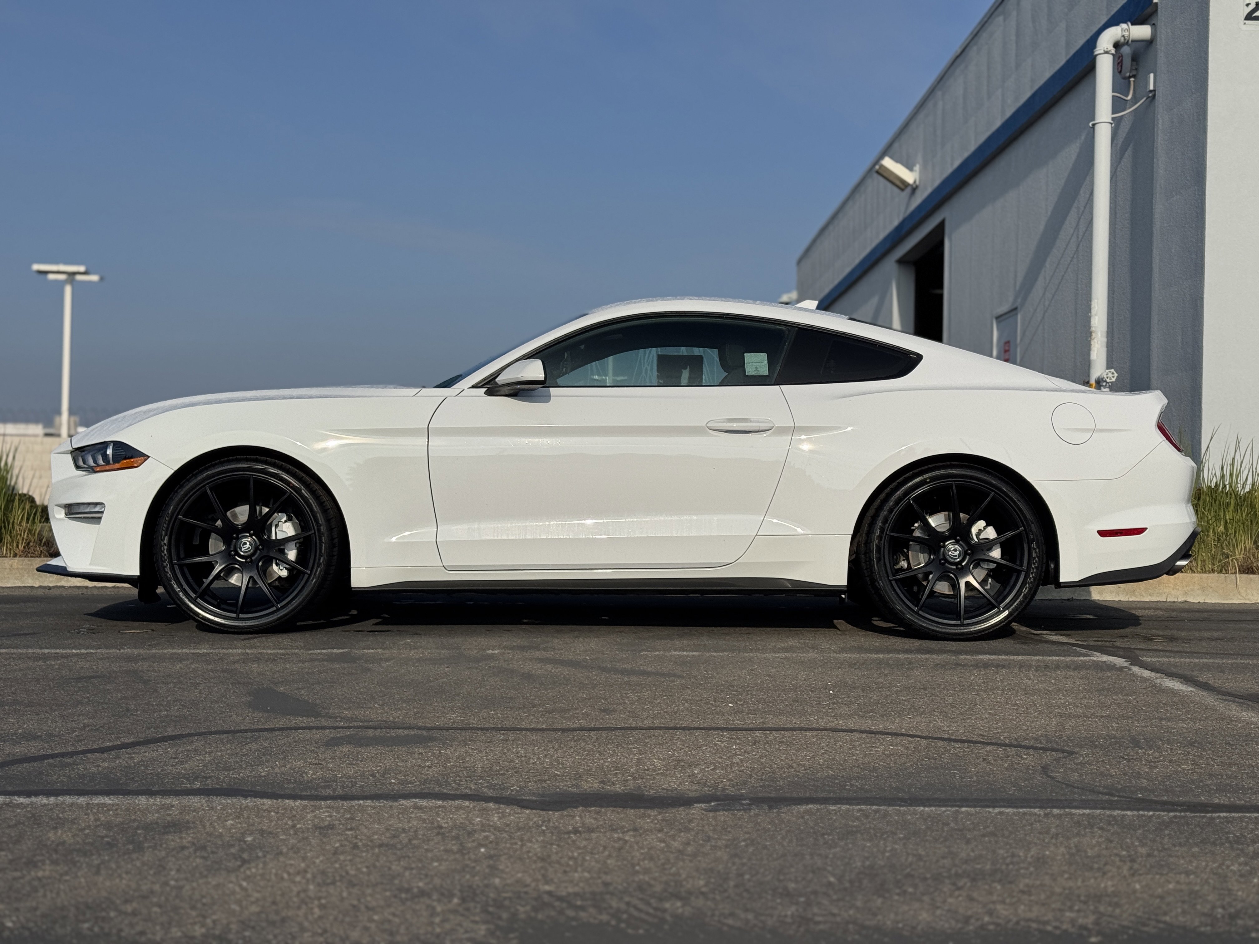 Used 2022 Ford Mustang Coupe w/ Equipment Group 101A image 4