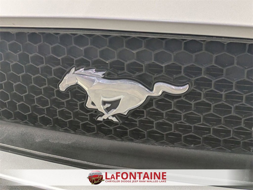 Used 2015 Ford Mustang GT Premium w/ Equipment Group 401A image 9