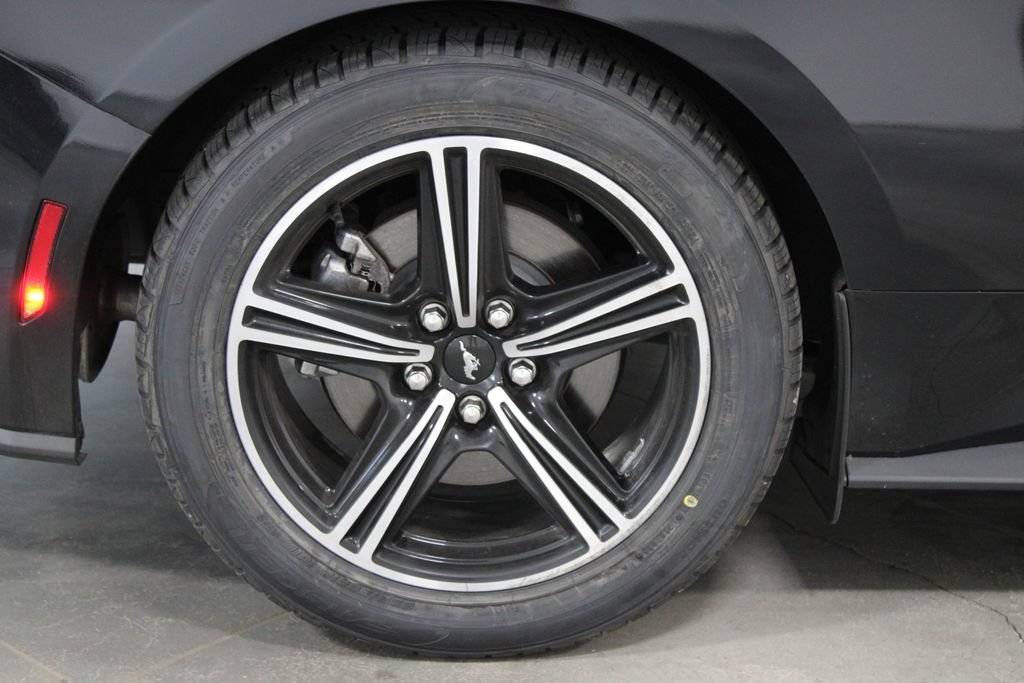 Used 2024 Ford Mustang Premium RWD image 14