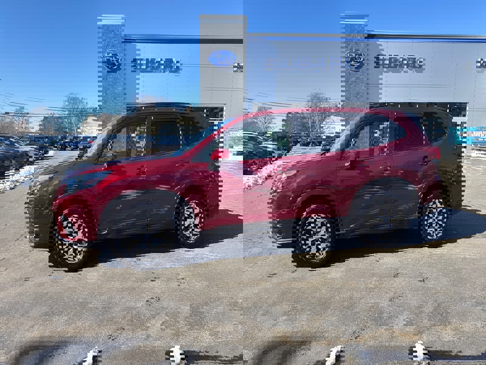 Used 2024 Subaru Forester Premium image 4