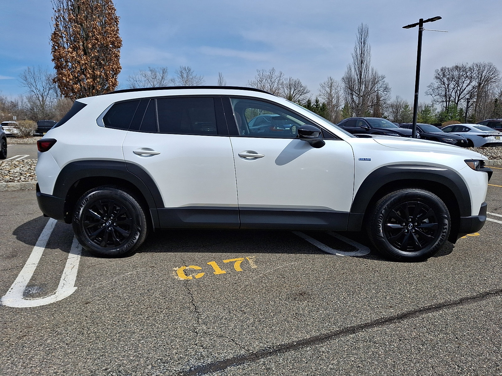 Used 2025 MAZDA CX-50 AWD 2.5 Hybrid w/ Weather Package image 7