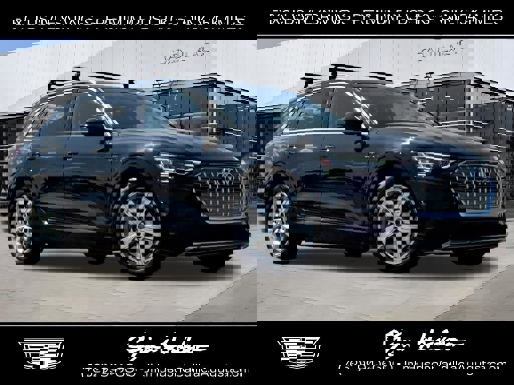 Used 2019 Audi e-tron Premium Plus image 1