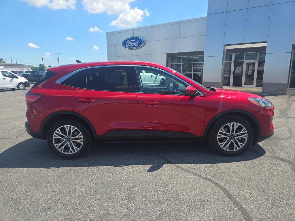 Used 2022 Ford Escape SEL image 5