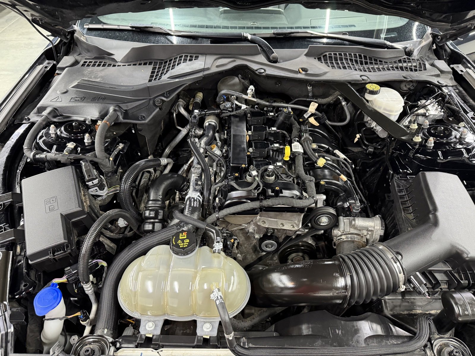 Used 2023 Ford Mustang Premium image 26