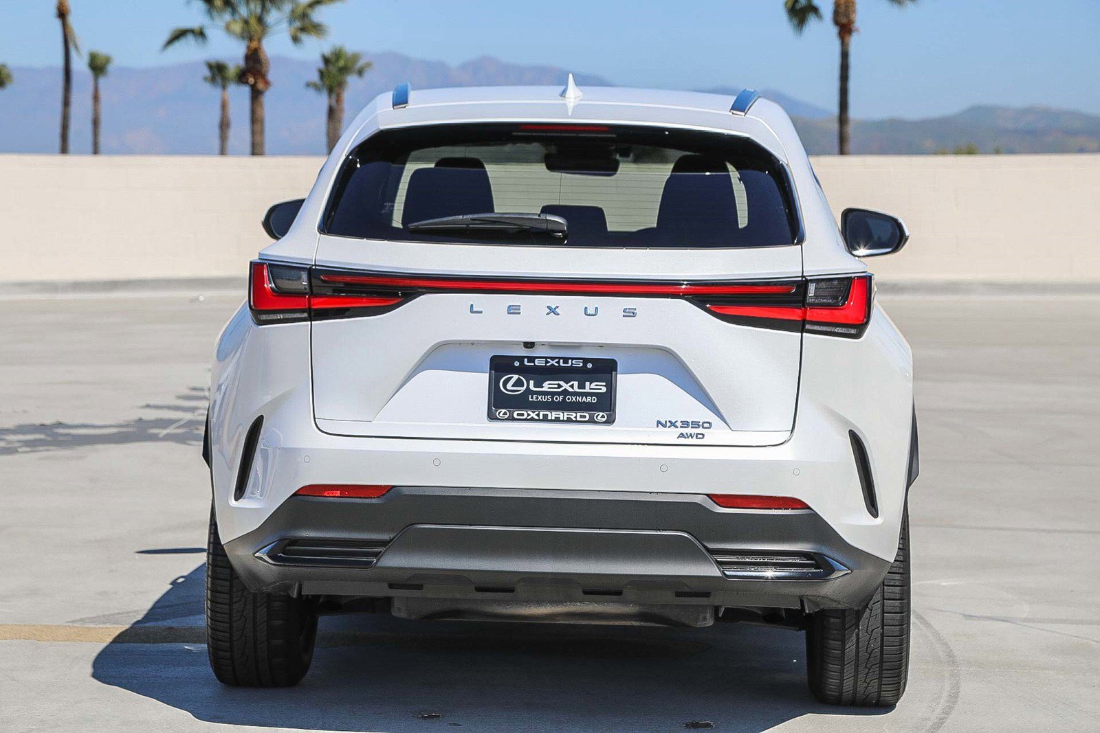 Used 2024 Lexus NX 350 AWD w/ Cold Area Package image 6