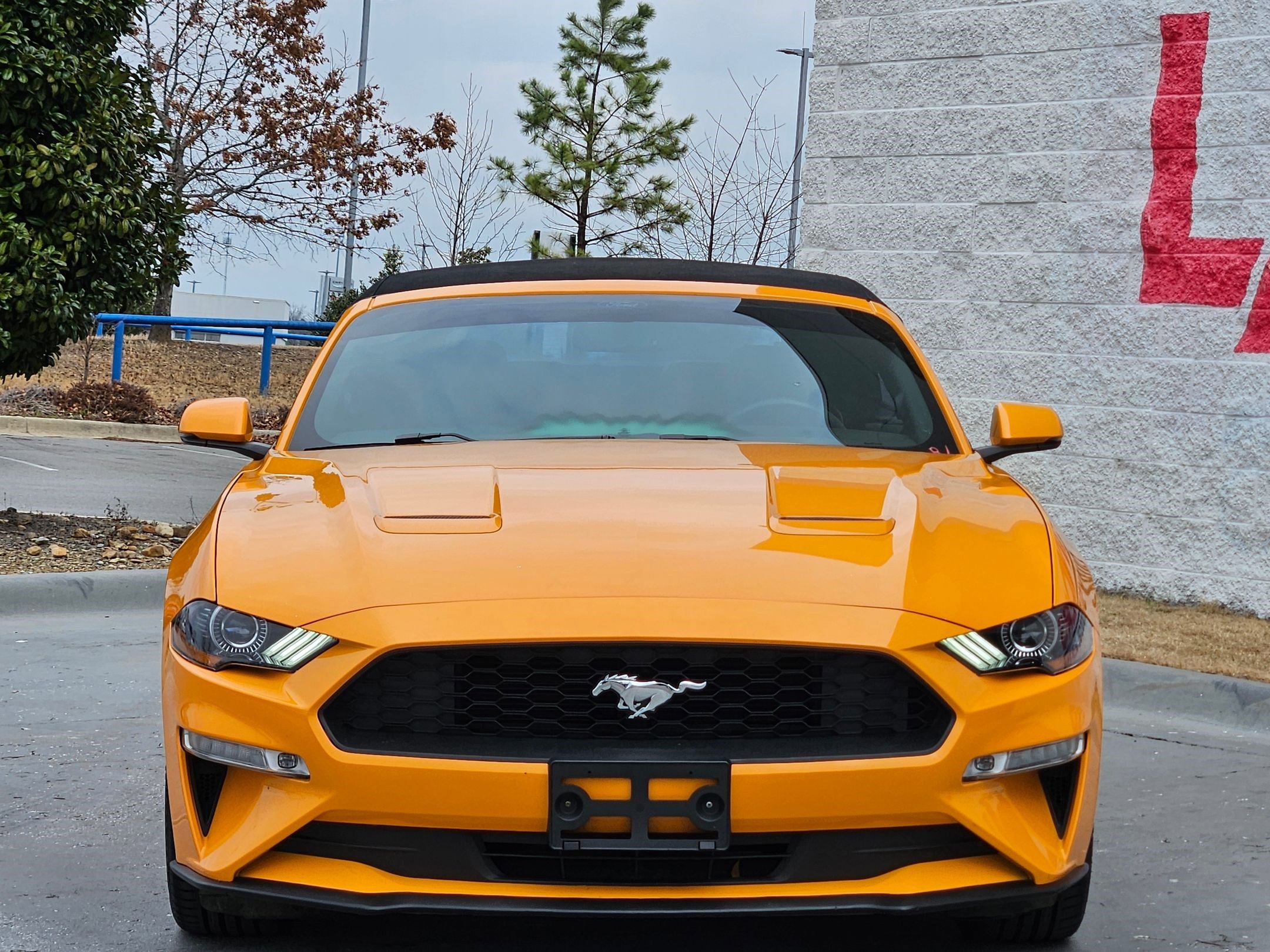Used 2018 Ford Mustang Premium w/ Equipment Group 201A image 2