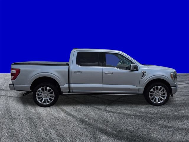 Certified 2023 Ford F150 Limited AWD/4WD image 3