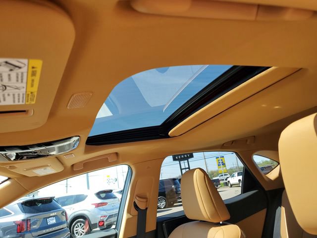 Used 2023 Lexus NX 250 FWD w/ Cold Area Package image 17