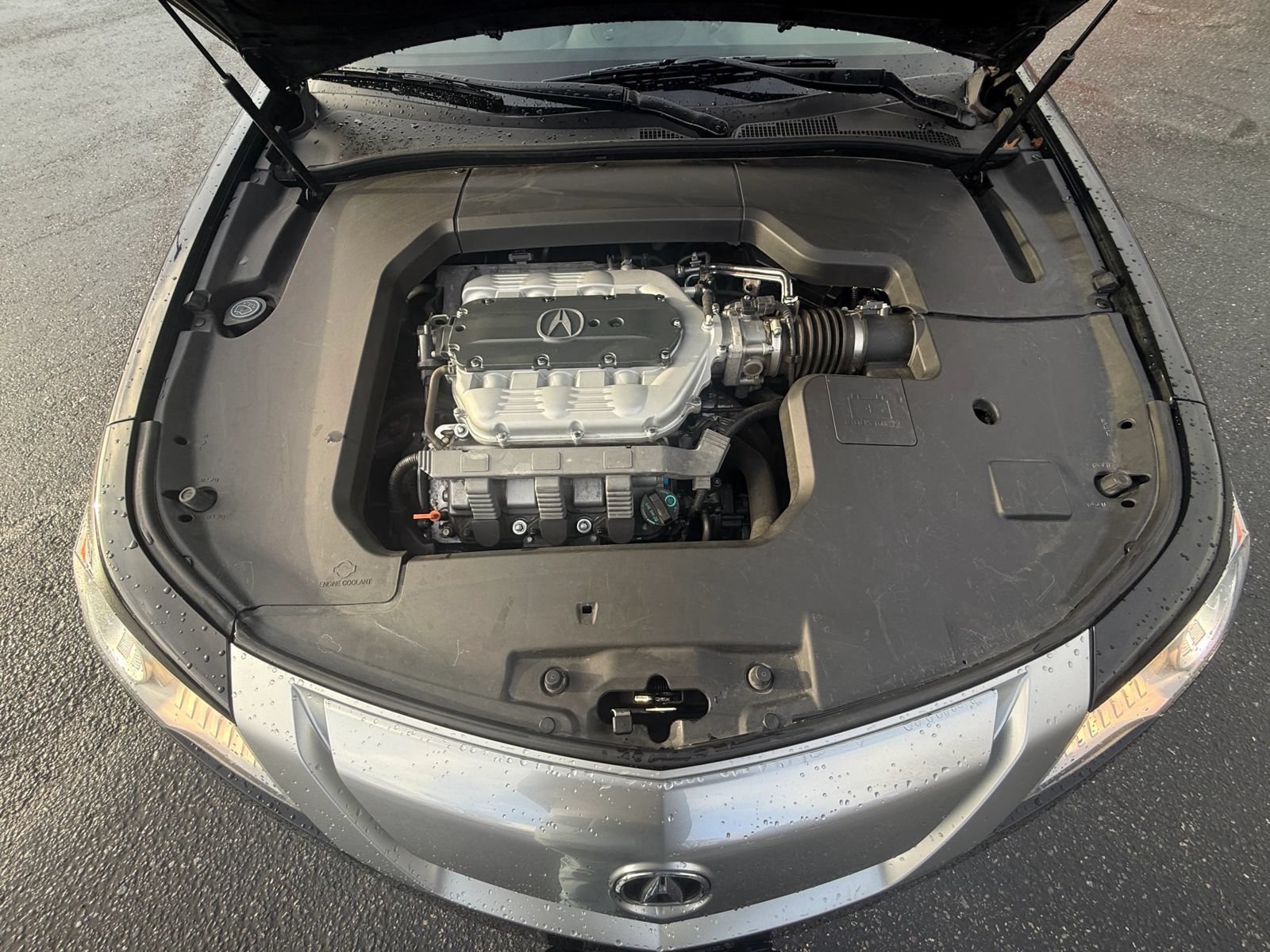 Used 2010 Acura TL SH-AWD image 46