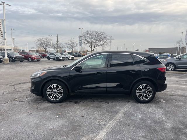Used 2022 Ford Escape SEL image 4