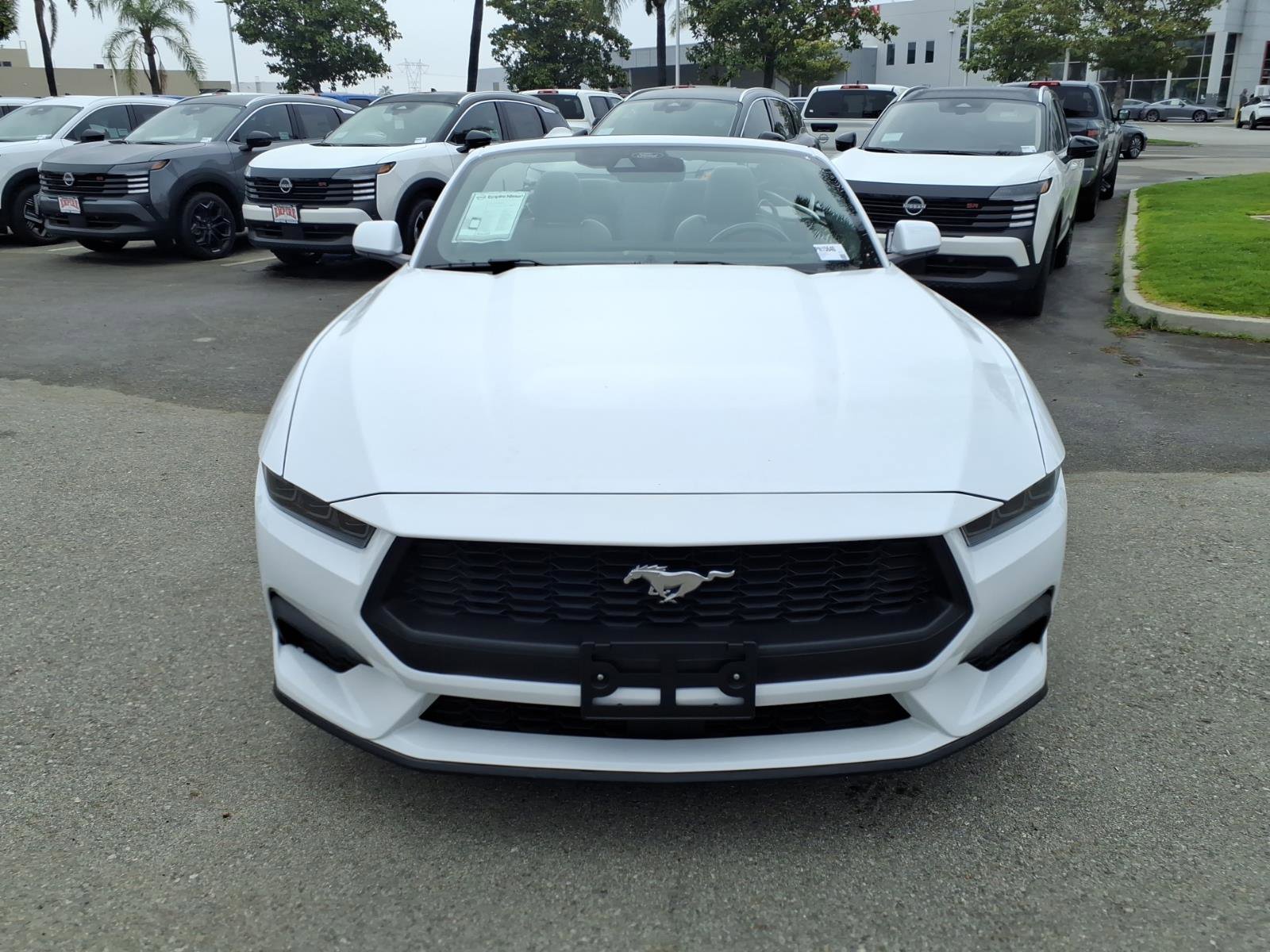 Used 2025 Ford Mustang Premium RWD image 3
