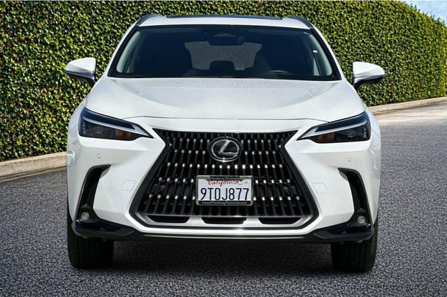 Used 2025 Lexus NX 350h AWD w/ Cold Area Package image 9