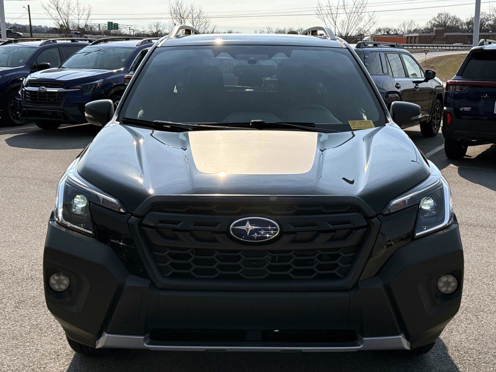 Certified 2025 Subaru Forester Wilderness w/ Wilderness Package image 9