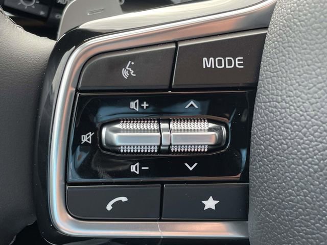 New 2026 Kia Carnival SX Prestige image 29