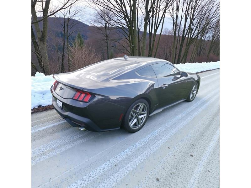 Used 2024 Ford Mustang Coupe image 4