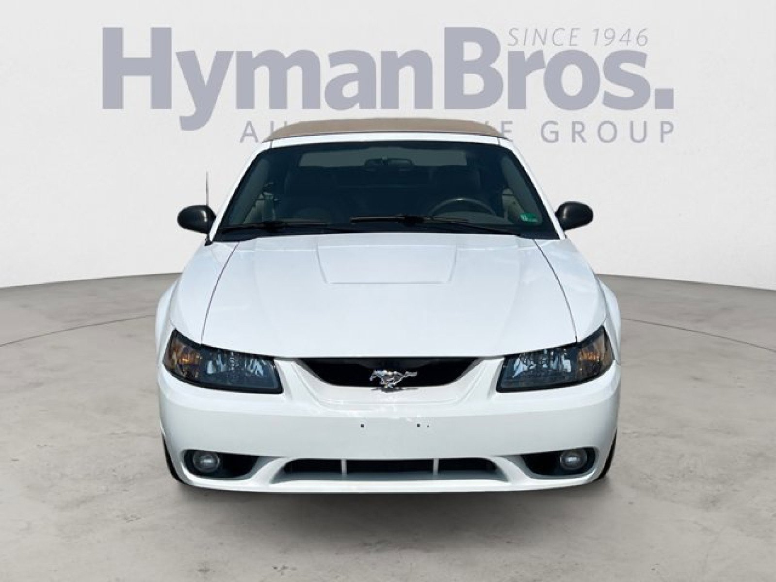 Used 2001 Ford Mustang Cobra image 8