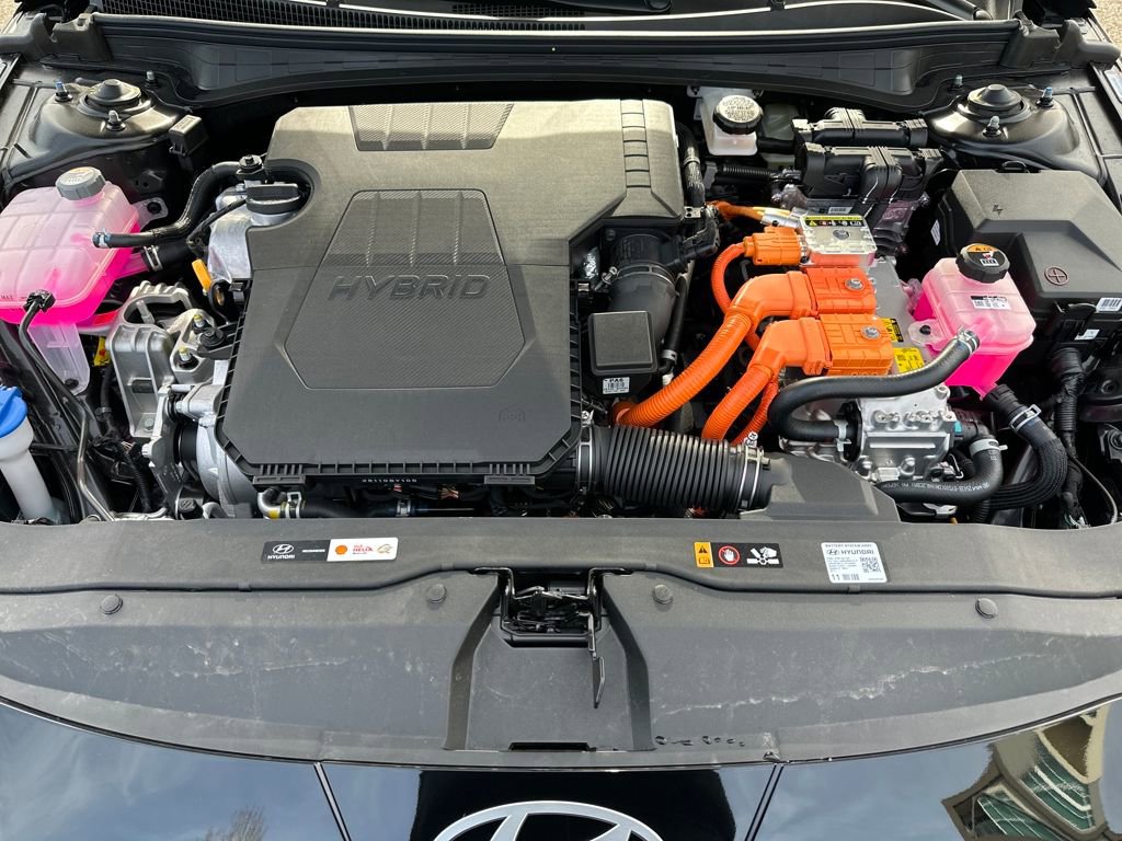 New 2026 Hyundai Elantra Limited image 13