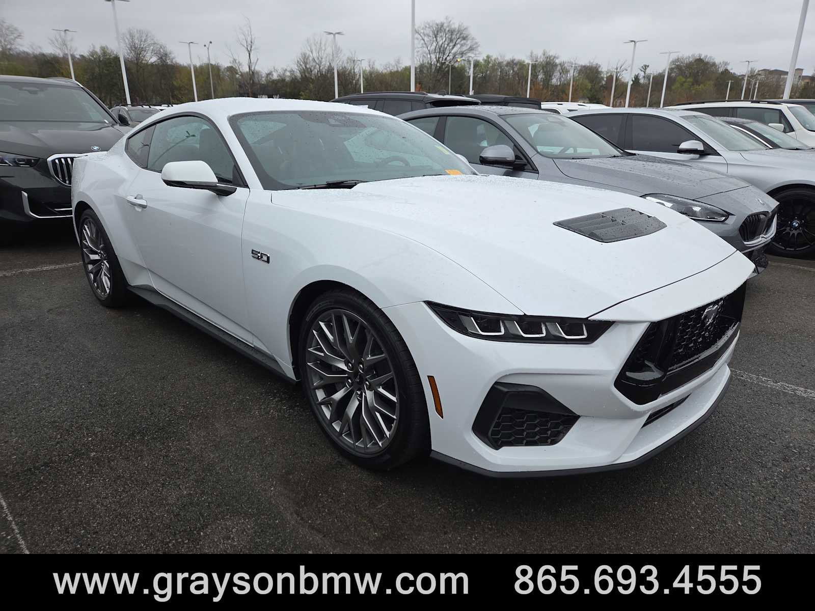 Used 2025 Ford Mustang GT Premium image 1