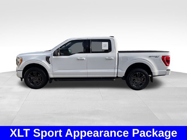 Used 2022 Ford F150 XLT w/ Equipment Group 302A High AWD/4WD image 2
