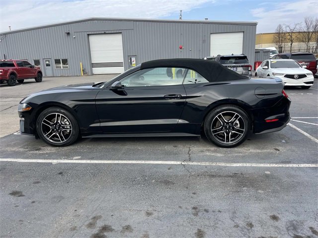 Certified 2023 Ford Mustang Premium image 6