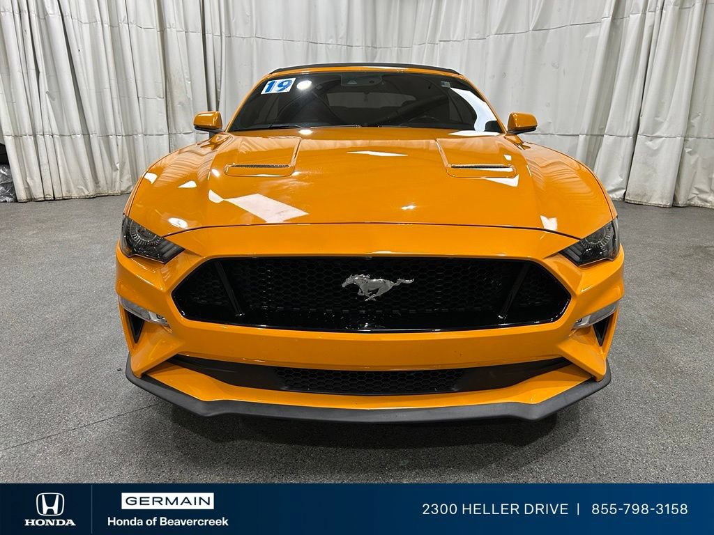 Used 2019 Ford Mustang GT Premium w/ Equipment Group 401A RWD image 3