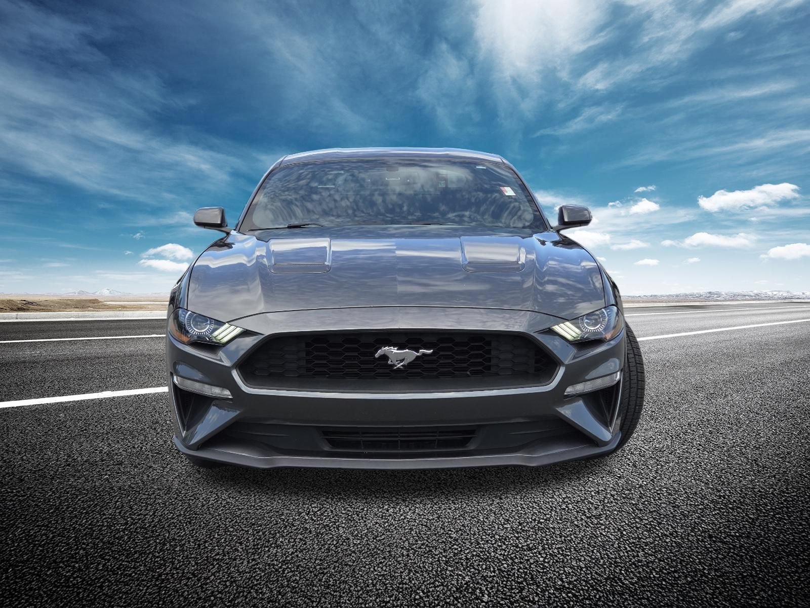 Used 2018 Ford Mustang Coupe w/ Ecoboost Performance Package RWD image 9