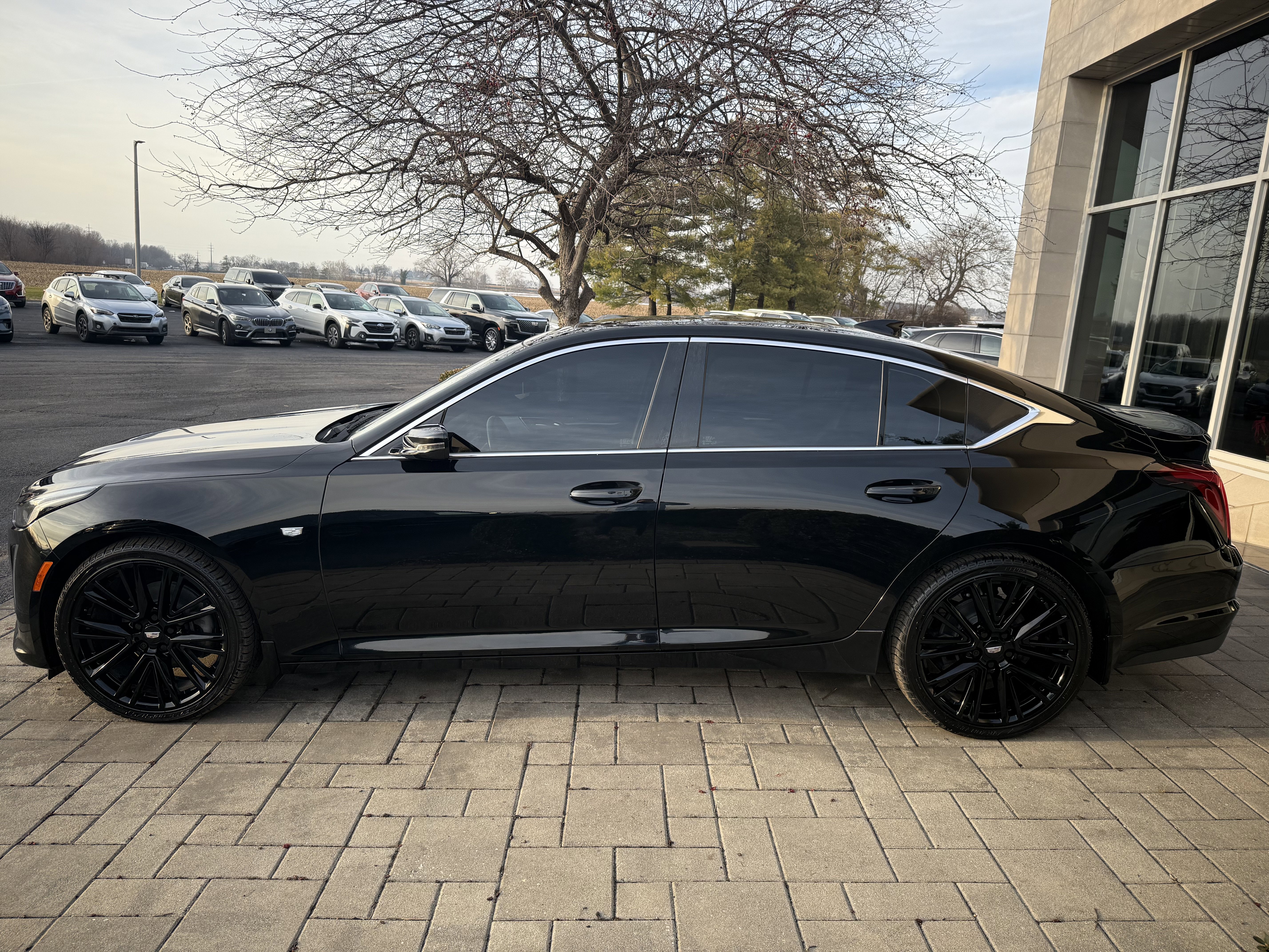 Used 2020 Cadillac CT5 Luxury w/ Sun And Sound Package image 4