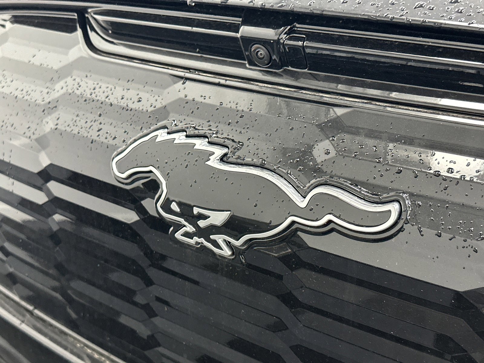 New 2025 Ford Mustang Mach-E Premium w/ Sport Appearance Package image 14