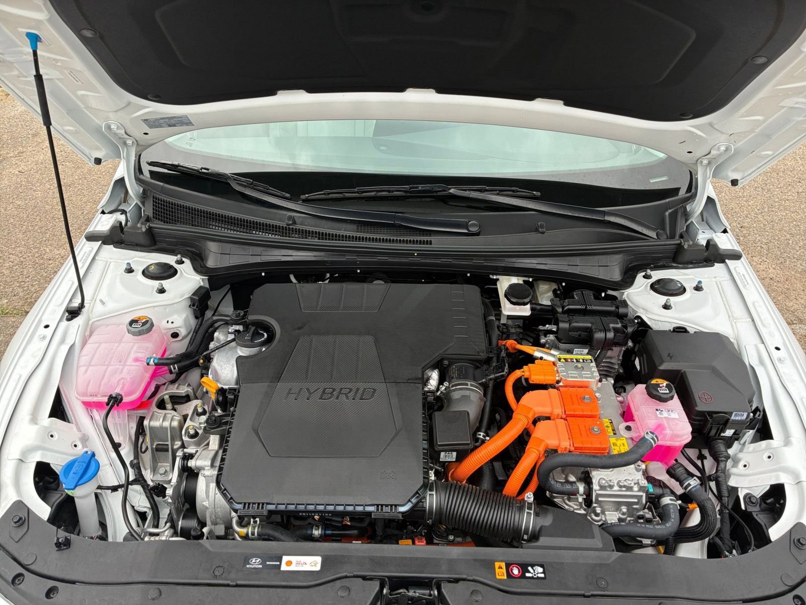 Used 2025 Hyundai Elantra Limited image 34