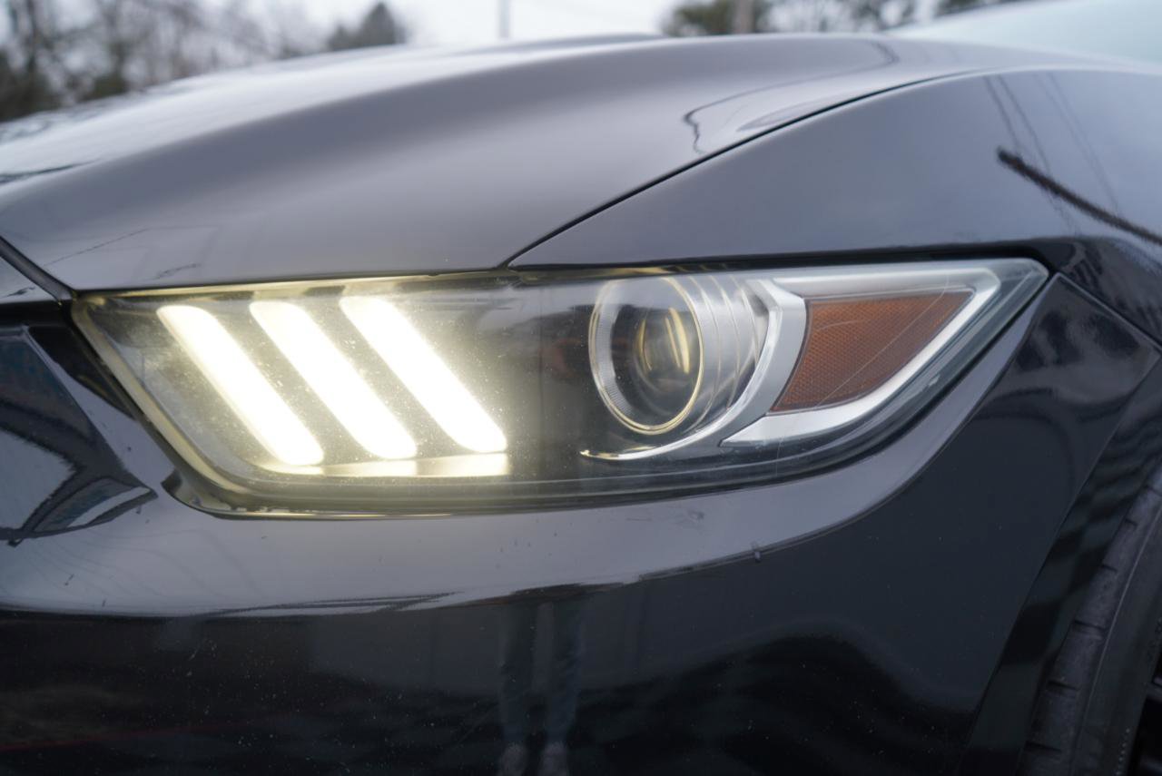 Used 2015 Ford Mustang GT Premium w/ Equipment Group 401A image 88