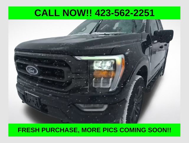 Used 2023 Ford F150 XLT w/ Equipment Group 302A High