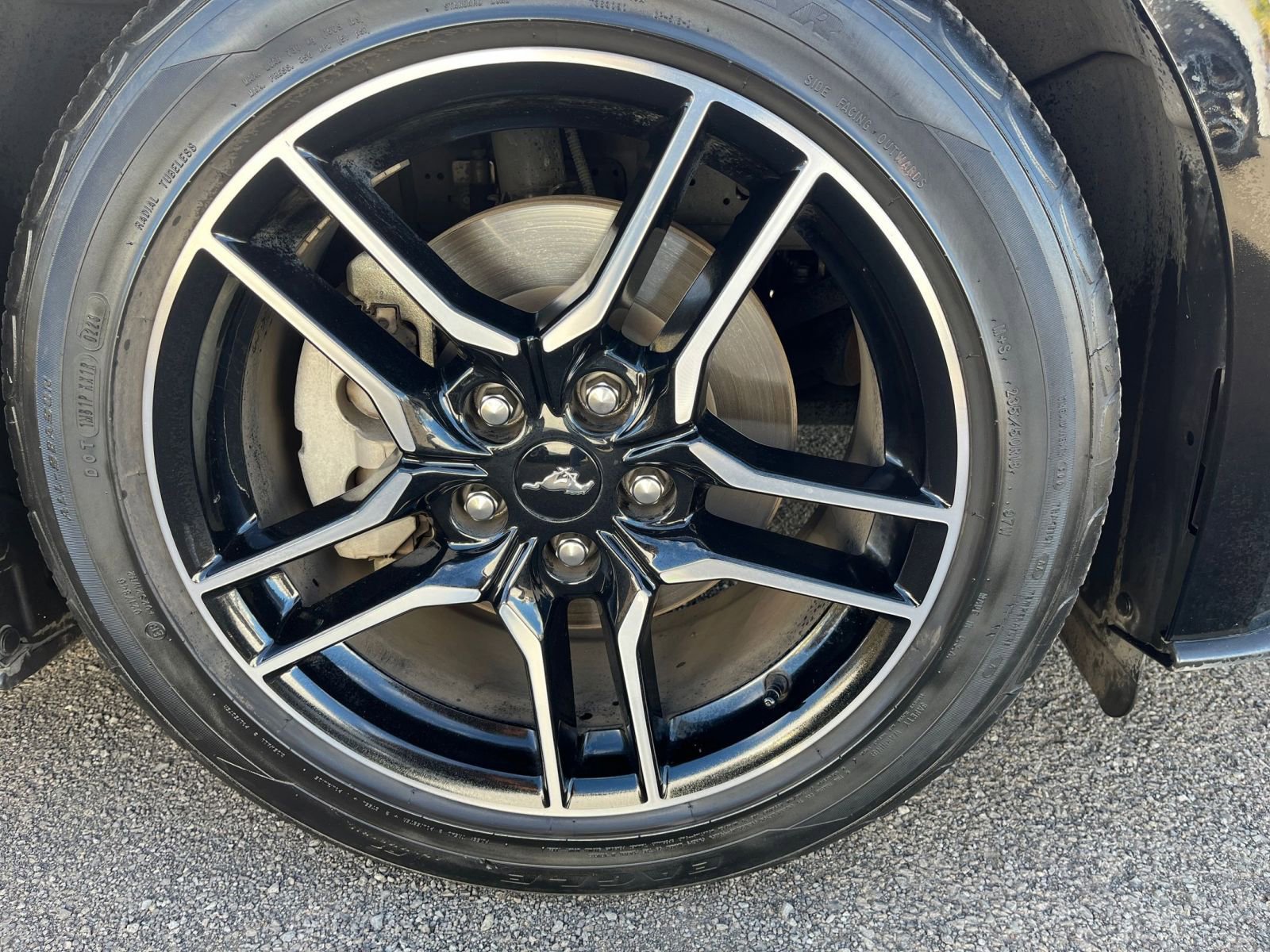 Used 2023 Ford Mustang Premium image 30