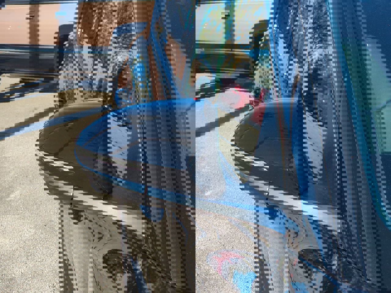 Used 2024 Hyundai Tucson Limited image 11