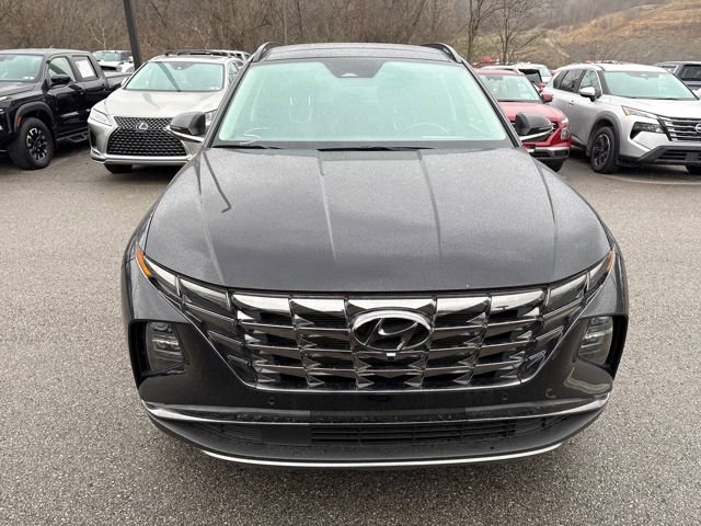 Used 2023 Hyundai Tucson Limited image 8