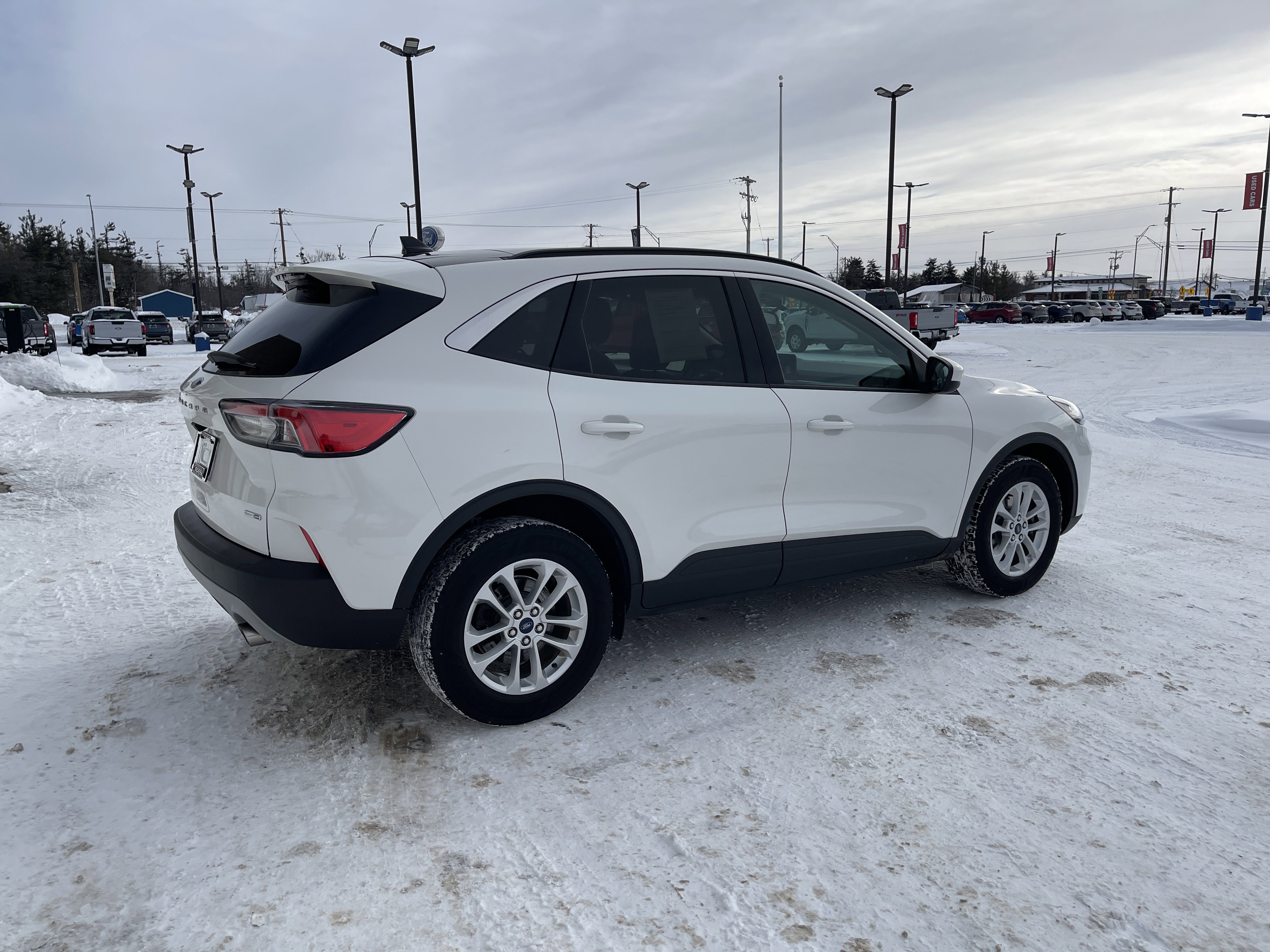 Used 2020 Ford Escape SE image 3