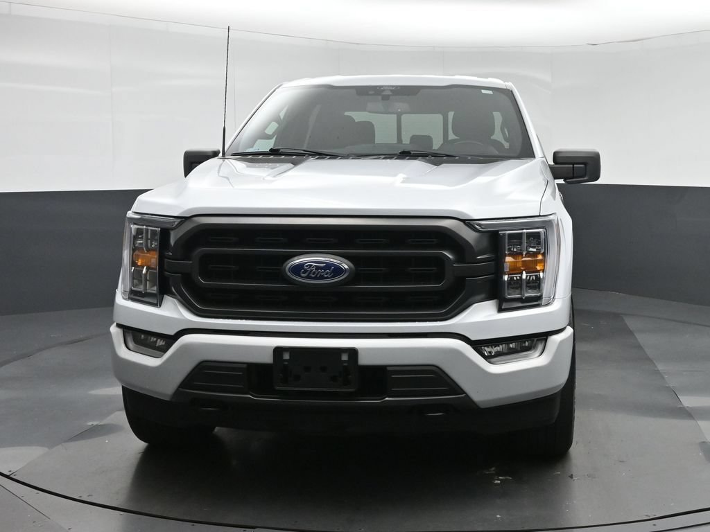 Used 2021 Ford F150 XLT w/ Equipment Group 302A High AWD/4WD image 2